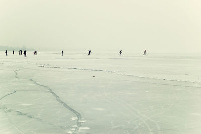 Group of people on beach