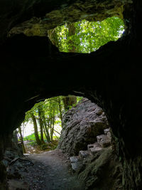 Rock formations in forest