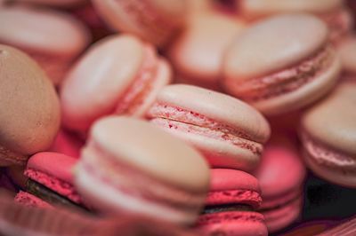 Close-up of pink macaroons in plate