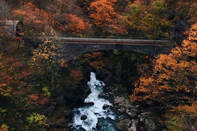 High angle view of waterfall in forest during autumn