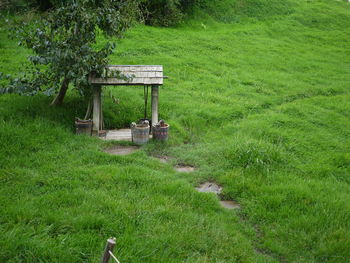 Gazebo on field