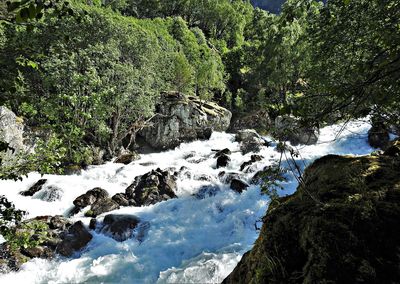 Scenic view of waterfall in forest against sky
