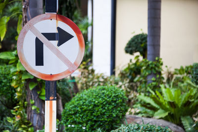 Close-up of road sign against plants