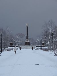 Snow covered trees in winter