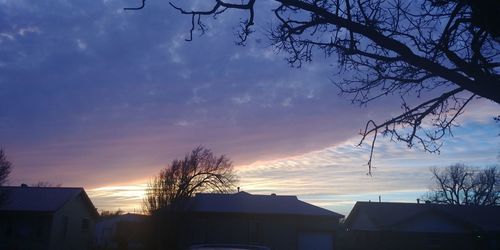 Silhouette houses and trees against sky during sunset