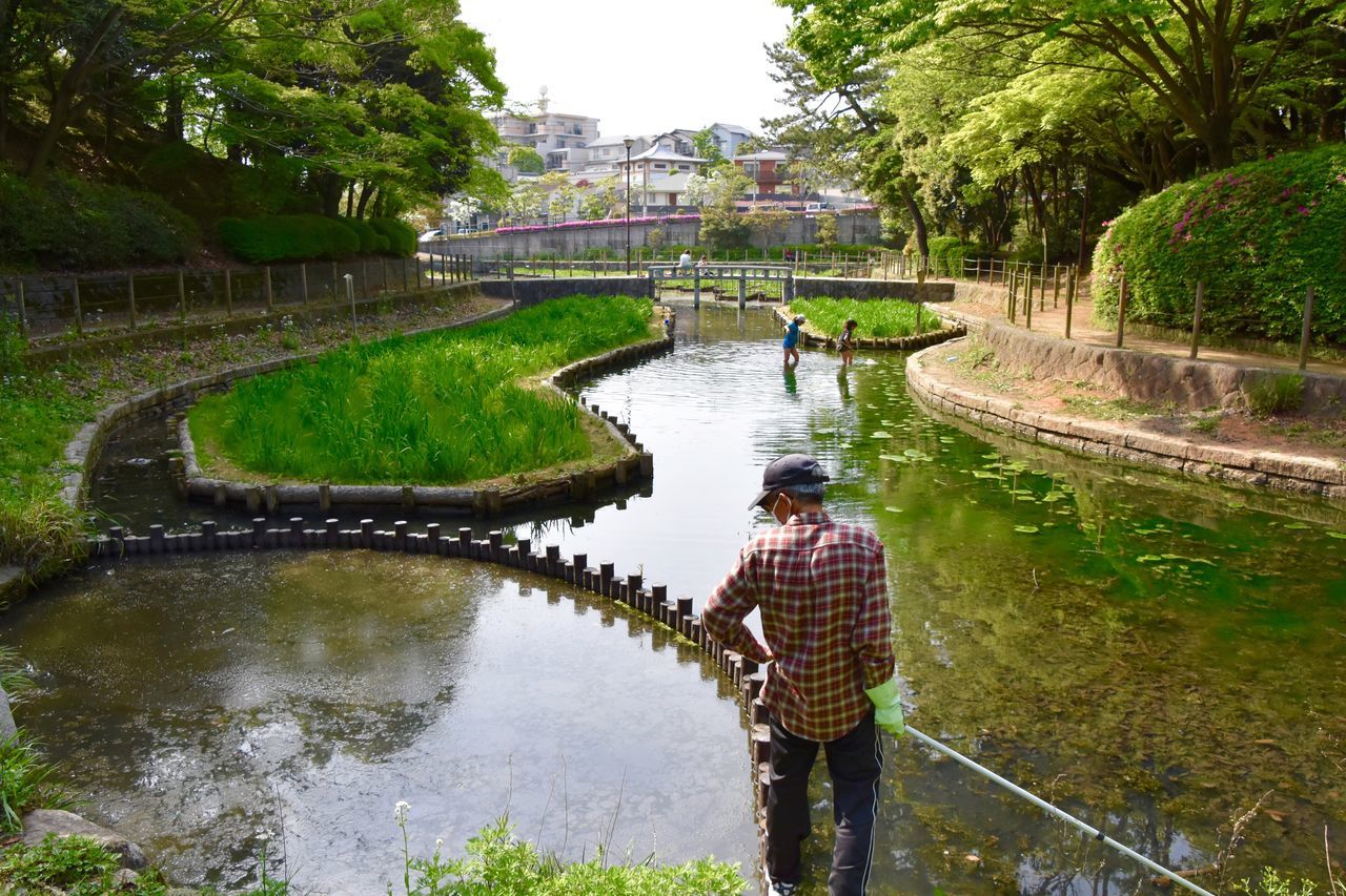 water, tree, reflection, river, bridge - man made structure, connection, built structure, canal, green color, architecture, nature, pond, lake, grass, tranquility, park - man made space, arch bridge, growth, day, high angle view