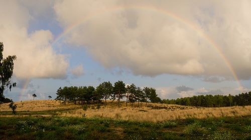 Scenic view of field against rainbow in sky