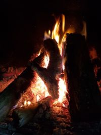 Close-up of bonfire at night