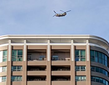 Low angle view of seagull flying against building