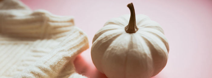 Close-up of apple against white background