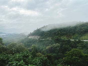 Scenic view of forest against sky