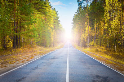 Road amidst trees in forest