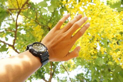 Cropped image of hand wearing wristwatch against trees