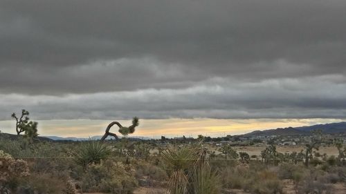 Scenic view of landscape against cloudy sky