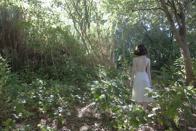 Rear view of woman standing by plants in forest