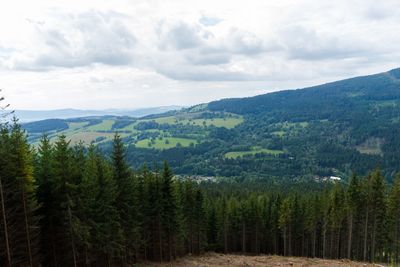 Scenic view of forest against sky