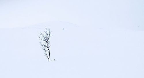 Snow covered land against clear sky