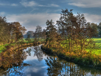 Reflection of trees in lake against sky