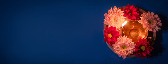 Close-up of red flower