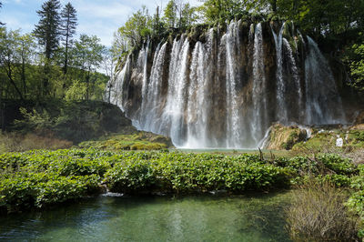 Scenic view of waterfall in forest