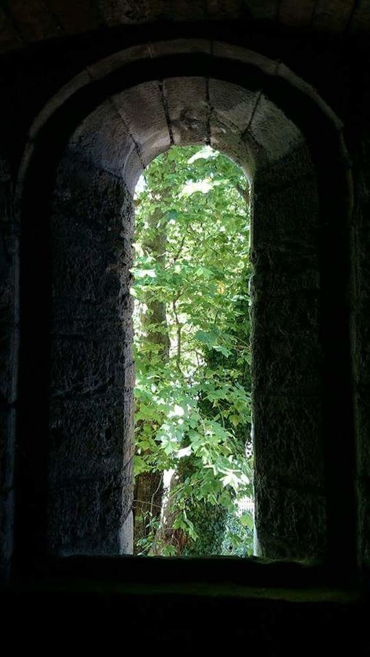 arch, indoors, window, archway, built structure, architecture, tree, day, stone wall, no people, entrance, arched, hole, wall, wall - building feature, sunlight, door, nature, green color, stone material