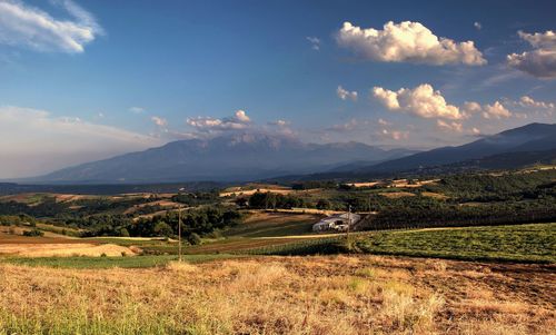 Scenic view of agricultural field against sky