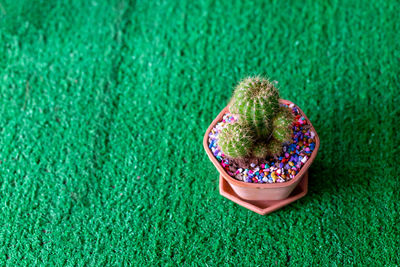 High angle view of multi colored candies on grass