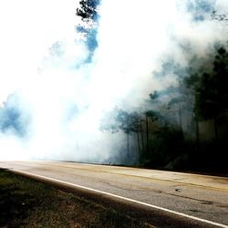 Smoke covering trees by road