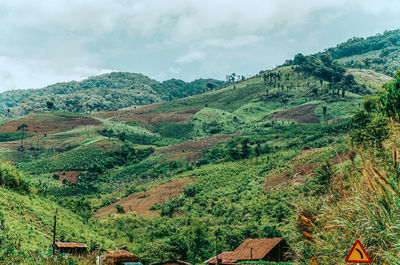 Scenic view of landscape against sky