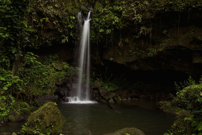 Scenic view of waterfall in forest