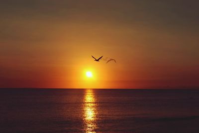 Silhouette bird flying over sea against sky during sunset