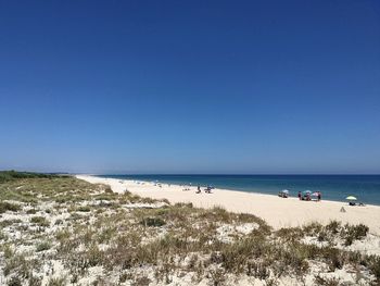 Scenic view of beach against clear blue sky