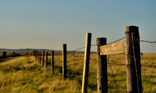 Scenic view of field against clear sky