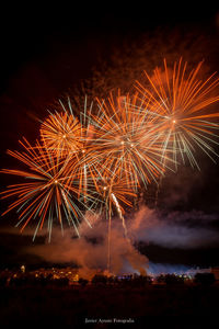 Firework display at night