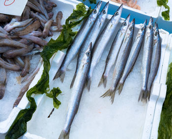 Close-up of fresh seafood