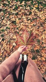 Low section of person on dry leaves during autumn