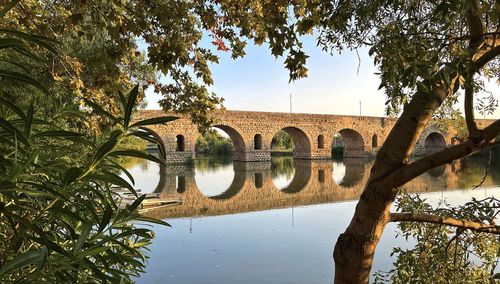 Roma puente