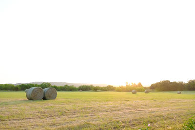 Hay bales on field against clear sky