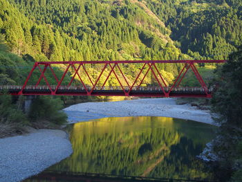 Bridge over river in forest