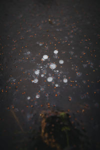 High angle view of wet road during winter