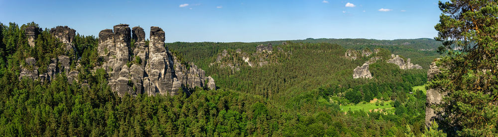 Plants growing on land against sky