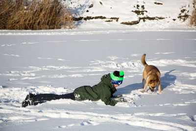 Dog lying down on snow