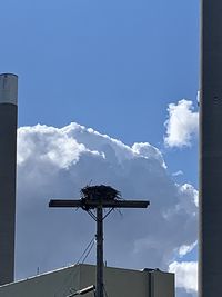 Low angle view of telephone pole against building against sky