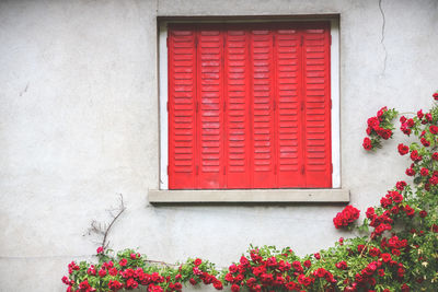 Close-up of red window on house