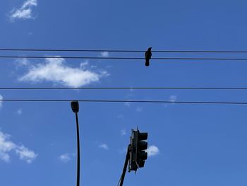 City still life with streetlight, traffic light, power lines and a bird on a blue sky