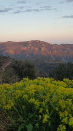 Scenic view of landscape against sky