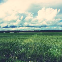 Scenic view of field against cloudy sky