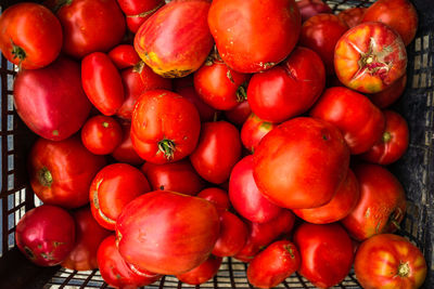 Full frame shot of tomatoes for sale