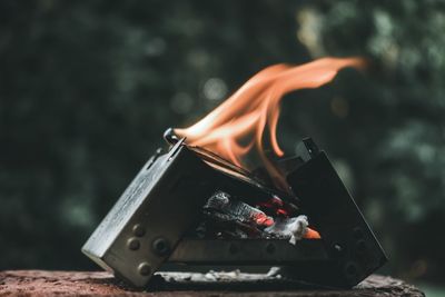 Close-up of burning firewood