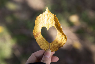 Close-up of hand holding heart shape leaf